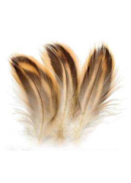 Gräsand hona sidfjäder (flank)