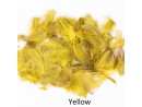 Rapphöna nackfjäder - Yellow