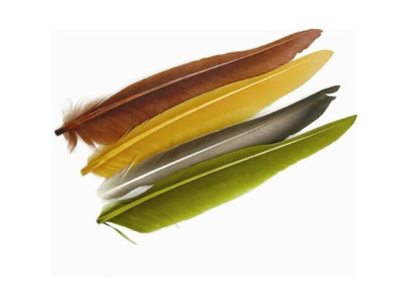 Anka vingpennor Veniard