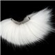 Arctic Fox Body Hair - White