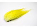 Bauer Premium Nayat XL - Fluo Neon Yellow