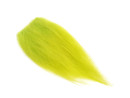 Bauer Premium Nayat XL - Chartreuse