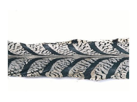 Diamantfasan stjärtfjäder bitar