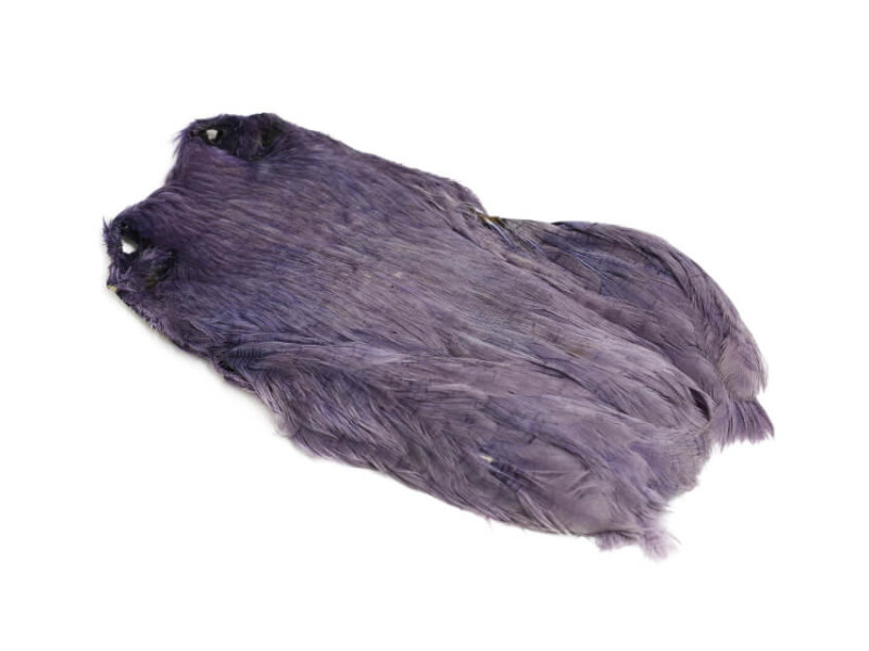 Indisk Hönsnacke - Blue Dun