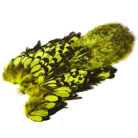 Whiting Hen SH/C Black Laced - White dyed Fl. Yellow Chartreuse